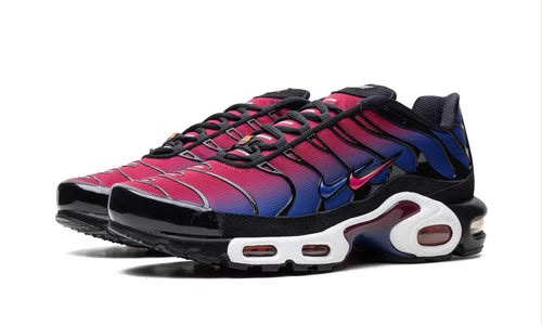 Nike Air Max Plus Patta Pink & Blue