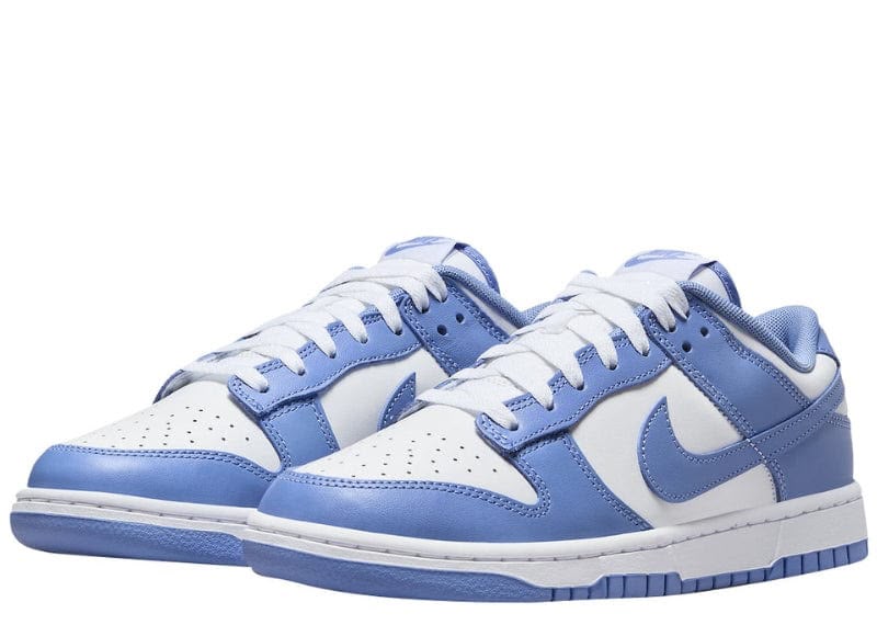 Nike Dunk Low Polar Blue - Court Order
